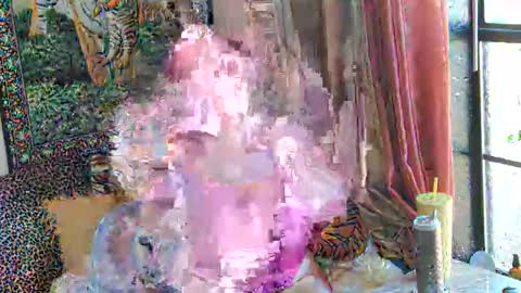 Arielle Ari online show from February 2026 03:59:01 PM