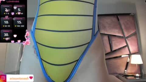 Snapshot of arisantana chatting on December 2024 11:09:01 AM Aria online show from December 2024 11:09:01 AM