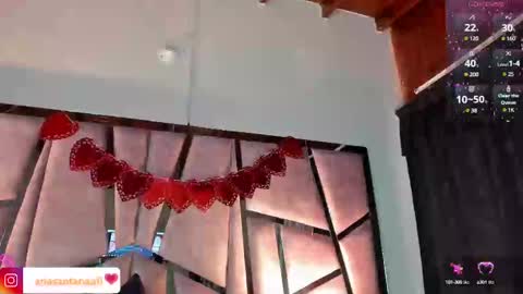 Snapshot of arisantana chatting on February 2025 12:52:02 PM Aria online show from February 2025 12:52:02 PM