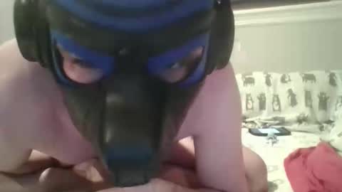 Snapshot of arrowpup chatting on June 2026 09:09:01 PM arrowpup online show from June 2026 09:09:01 PM