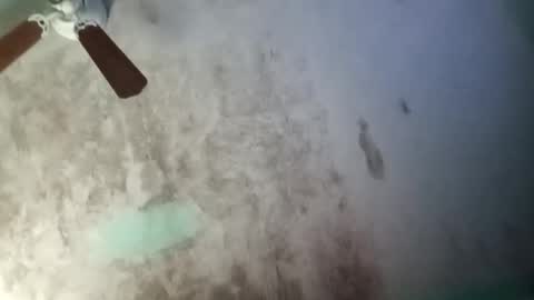 Snapshot of arturo_alvarado93 chatting on November 2025 03:23:01 PM the chosen one online show from November 2025 03:23:01 PM