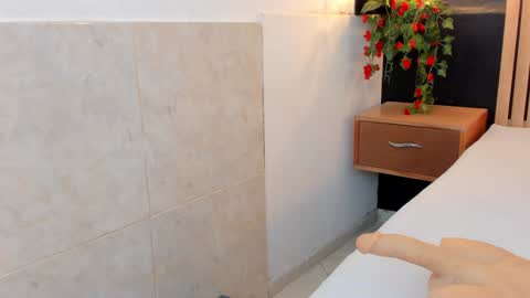 Snapshot of arya_nahalii chatting on December 2024 08:04:02 PM Ana online show from December 2024 08:04:02 PM