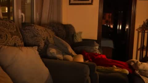 Troy online show from January 2025 06:08:02 PM