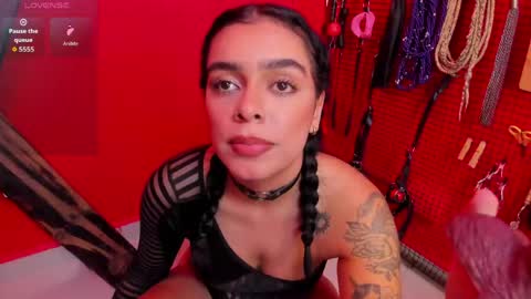 ASHLEY  My schedule 600 - 1400 GMT -5 online show from May 2026 06:31:02 AM