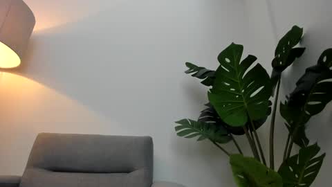 ashllovee online show from January 2025 01:24:01 PM