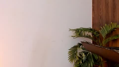 my name real is camilo online show from December 2024 07:11:02 AM