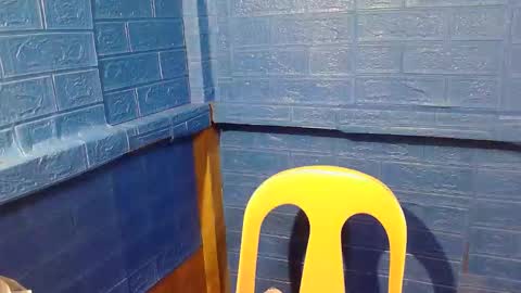 asian_decy online show from February 2026 02:30:01 AM