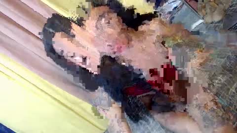 Snapshot of asian_kimxxx chatting on January 2025 02:58:01 PM don online show from January 2025 02:58:01 PM