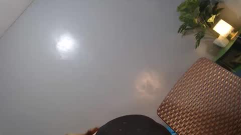 Reyshell online show from February 2026 02:36:01 PM