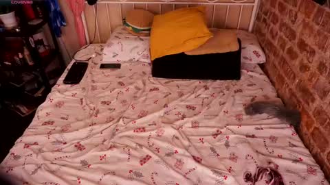 Snapshot of assgives chatting on January 2026 03:47:01 PM Eva online show from January 2026 03:47:01 PM