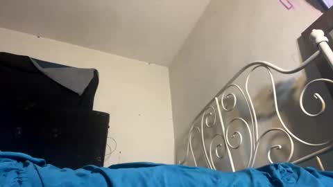 danni travis online show from February 2025 09:13:02 AM