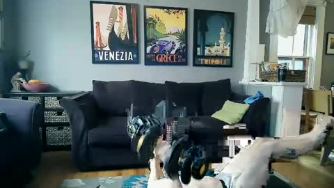 Snapshot of assmaster_6100 chatting on February 2025 08:52:02 PM assmaster_6100 online show from February 2025 08:52:02 PM