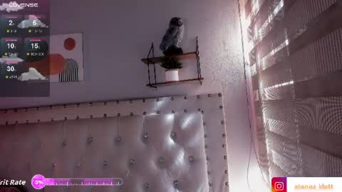 ATENEA online show from June 2026 02:14:01 PM