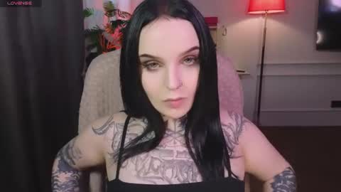online every day between 10am-23pm online show from June 2026 08:02:01 AM