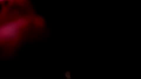 Monii Yi online show from February 2026 06:26:01 AM