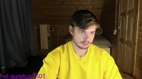 Snapshot of aurelius_x1 chatting on September 2025 06:41:02 PM Maks online show from September 2025 06:41:02 PM