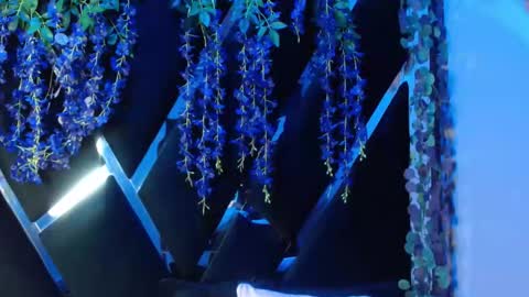 aurora online show from September 2025 02:19:01 PM