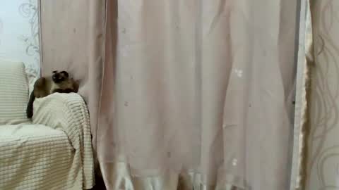 Kiara Xanthe online show from February 2026 02:48:02 PM