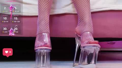 Aurora online show from January 2026 01:04:02 PM