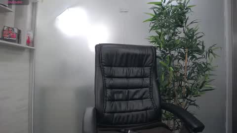    online show from February 2026 12:20:02 PM