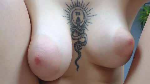 Snapshot of avgustina_love chatting on February 2025 03:08:01 PM avgustina_love online show from February 2025 03:08:01 PM