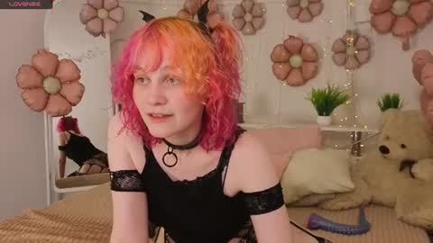 Awi online show from July 2026 09:49:02 PM