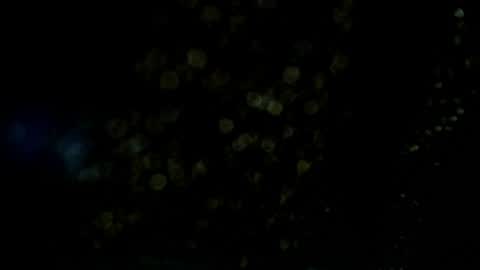 Axell Cross2 online show from July 2026 04:38:01 AM