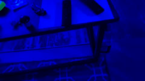 AylaTy online show from September 2025 06:30:02 AM