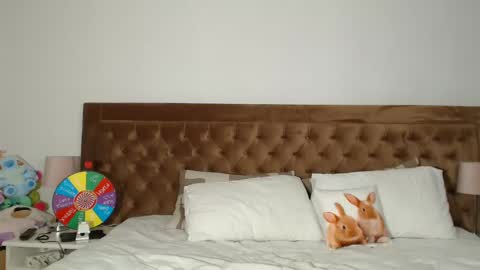 Snapshot of aylinhoney chatting on December 2024 04:16:02 AM Aylin online show from December 2024 04:16:02 AM