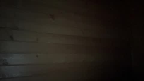 Snapshot of ayshekisskitty chatting on January 2025 09:16:01 PM ViktoranMary online show from January 2025 09:16:01 PM