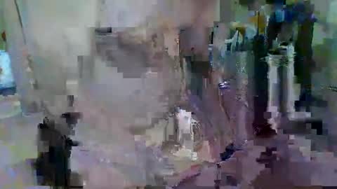 BERT online show from May 2026 05:43:01 PM