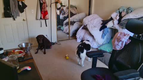 b1gbanana online show from March 2026 07:09:01 PM