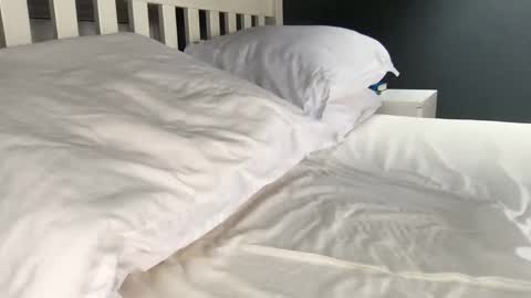 b1gd0ng1111 online show from September 2025 09:44:02 AM