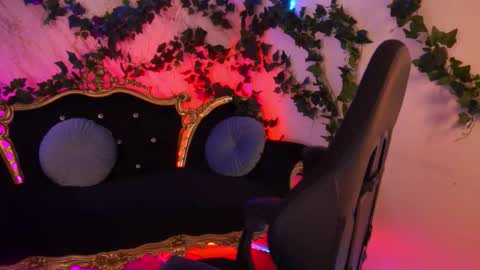 Babe online show from October 2025 08:16:02 AM