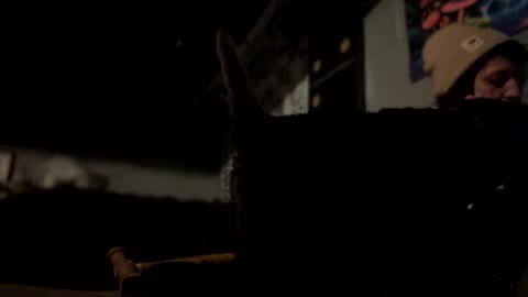 Snapshot of baby_buddha chatting on December 2024 07:56:01 PM baby buddha online show from December 2024 07:56:01 PM