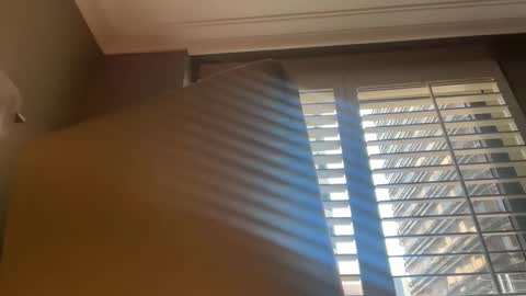 Snapshot of babychinoo chatting on September 2025 02:57:02 AM bcin online show from September 2025 02:57:02 AM