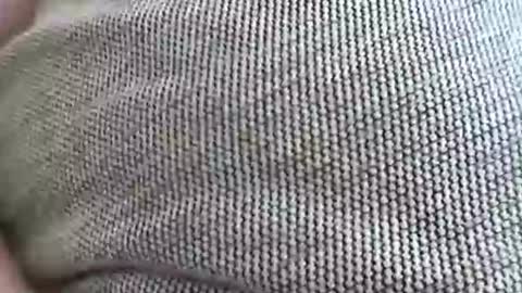 Snapshot of babydollxoxoxo123 chatting on April 2026 09:21:02 AM babydollxoxoxo123 online show from April 2026 09:21:02 AM