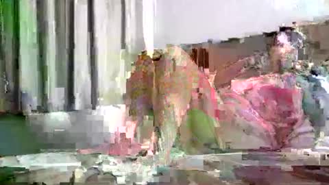 badassrider420 online show from November 2025 09:34:01 AM