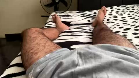 alejo 18cm online show from June 2026 07:27:02 PM