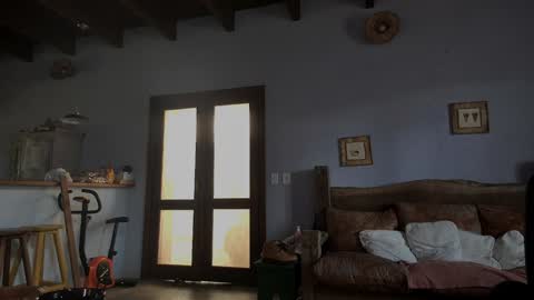 Baddaddybrazil online show from January 2025 06:38:02 PM