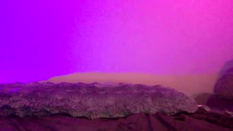 baddiejess618433 online show from December 2024 04:45:01 AM