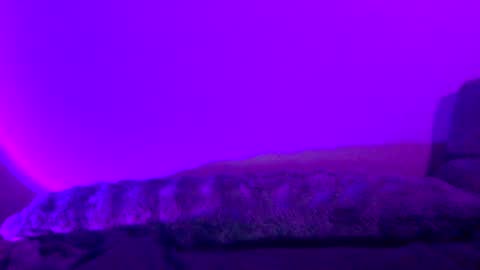 baddiejess618433 online show from December 2024 05:26:01 AM