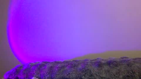 baddiejess618433 online show from December 2024 04:06:01 AM