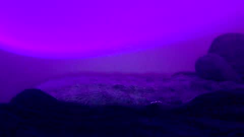 baddiejess618433 online show from January 2025 06:02:02 AM