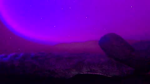 baddiejess618433 online show from January 2025 03:44:02 AM