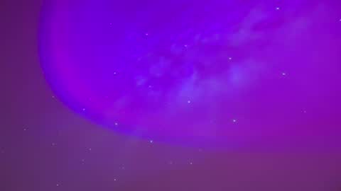 baddiejess618433 online show from February 2025 05:23:02 AM