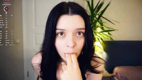 Hello my name is Ariella online show from May 2026 05:42:02 PM