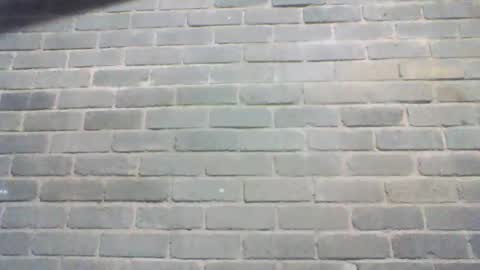 Chaterlain online show from June 2026 09:43:01 AM