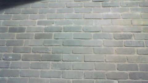 Chaterlain online show from July 2026 08:31:01 AM