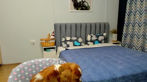 Snapshot of bam_bi chatting on January 2025 04:41:01 PM Kira online show from January 2025 04:41:01 PM